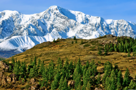 白雪皑皑的山顶 29 列表